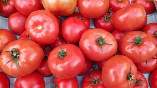 Full frame shot of tomatoes