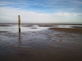 Wooden posts on beach against sky