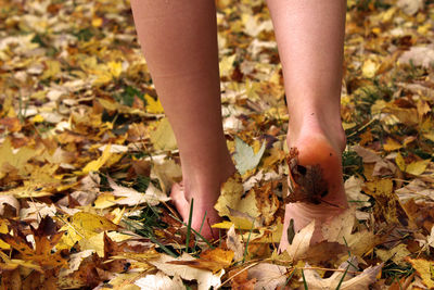 Low section of woman walking on autumn leaves