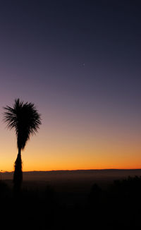 Silhouette palm trees against sky during sunset