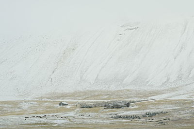 Scenic view of waterfall