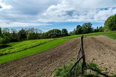 Scenic view of agricultural field against sky