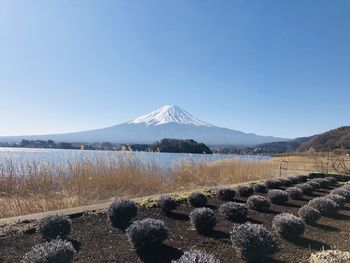 Scenic view of snowcapped mountains against clear blue sky