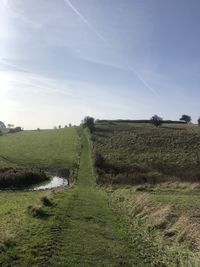 Scenic view of agricultural field against sky