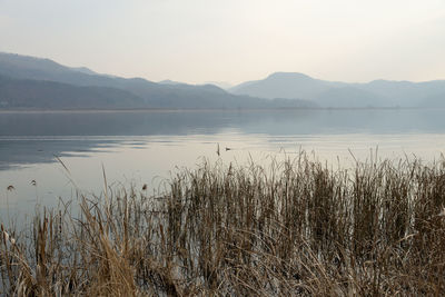 Scenic view of lake against sky