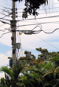Low angle view of trees against sky