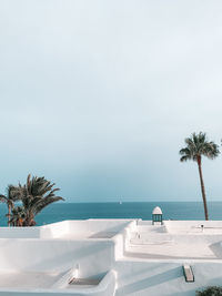 Palm tree by the sea against sky