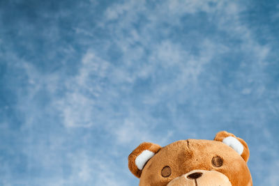 Close-up of brown teddy bear against sky