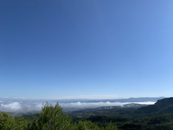 Scenic view of landscape against blue sky