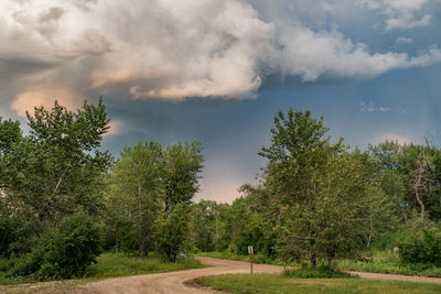 Nature scenery with cloudy sky