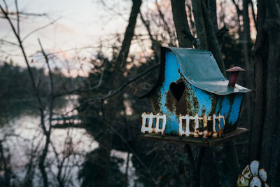 Clothes hanging on tree trunk in forest