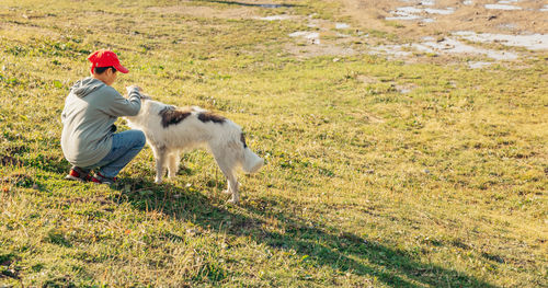 Rear view of man with dogs on grassy field