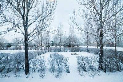 Bare trees on snow covered landscape against sky