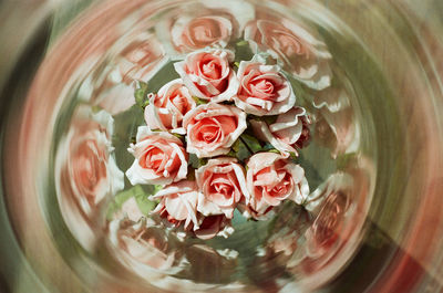 High angle view of rose bouquet