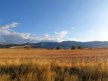 Scenic view of field against sky