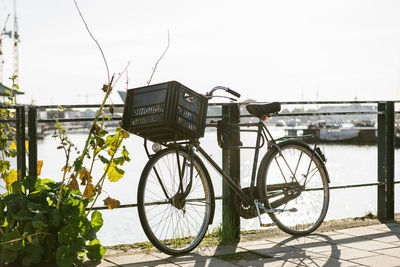 Bicycle parked by plants against sky
