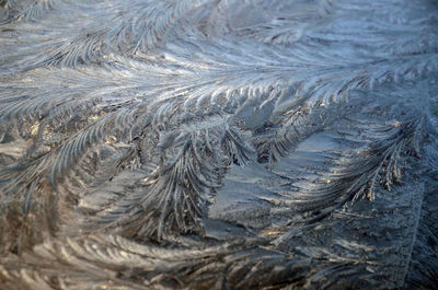 Frost pattern on a car windscreen