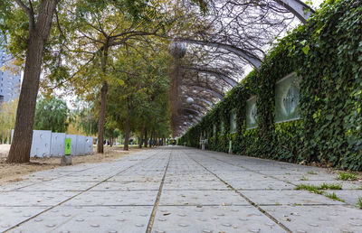 Footpath amidst trees in park