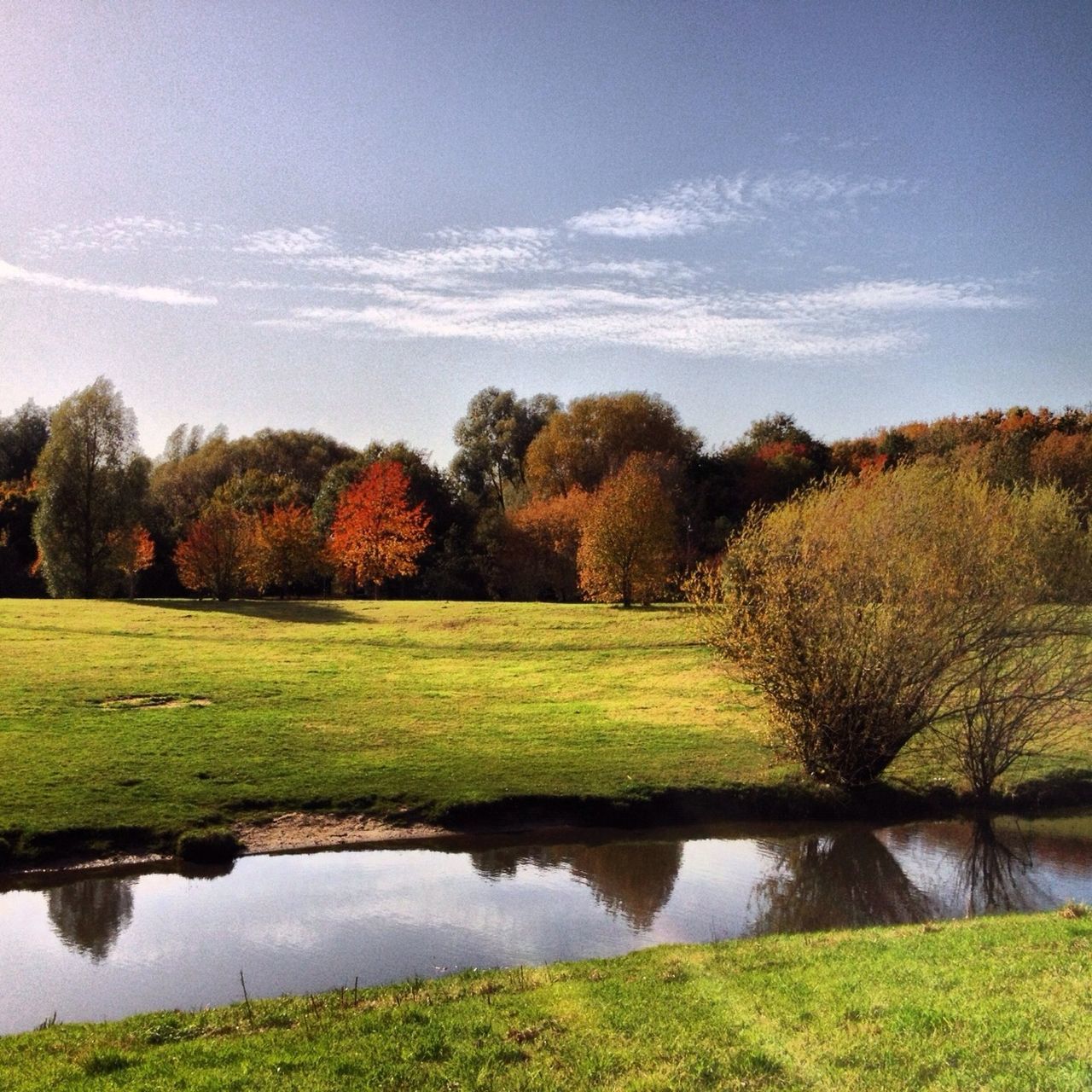 tree, tranquil scene, grass, tranquility, water, scenics, beauty in nature, green color, sky, nature, reflection, lake, growth, landscape, field, grassy, idyllic, green, countryside, day