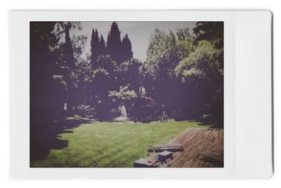 Trees and plants seen through glass window