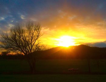 Sun shining through trees on landscape