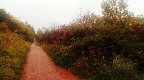 Dirt road amidst plants on field against clear sky