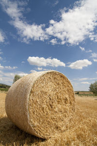 Hay bales on field