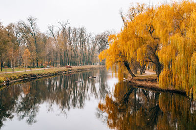 Trees by lake against sky during autumn