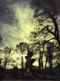 Silhouette of tree against sky