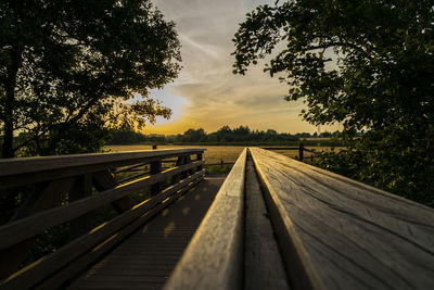 Footbridge amidst trees against sky