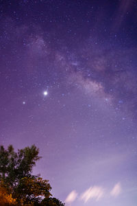 Low angle view of trees against sky at night