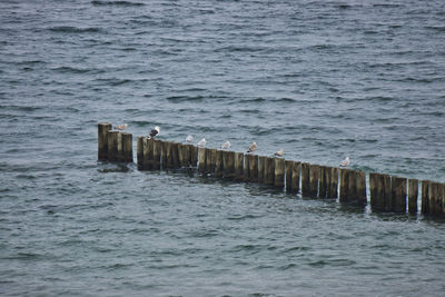 Wooden posts in sea