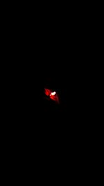 Close-up of red fire in the dark