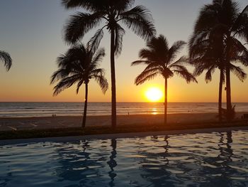 Silhouette palm trees by swimming pool against sky during sunset