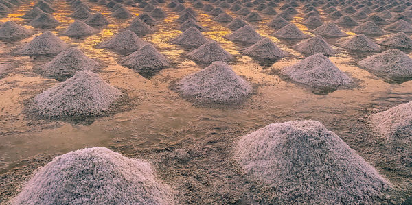 High angle view of rocks on land