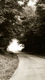 Empty road along trees