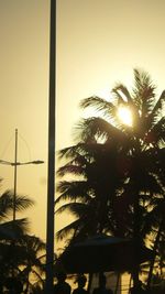 Low angle view of palm trees at sunset