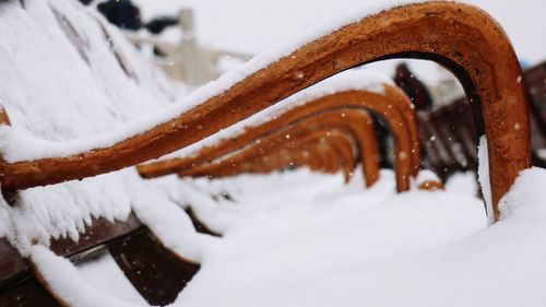 Close up of frozen winter