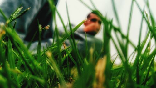 Portrait of young woman on grassy field