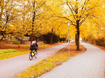 People riding bicycle on road during autumn