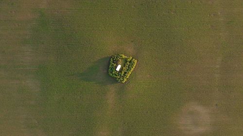 High angle view of agricultural land