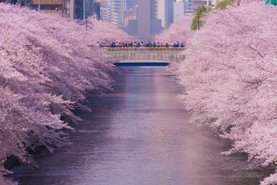 Bridge over river