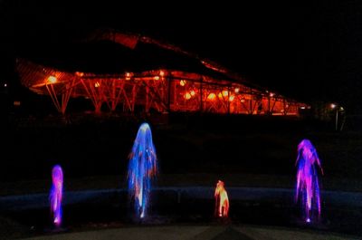 Rear view of woman standing against illuminated lights at night