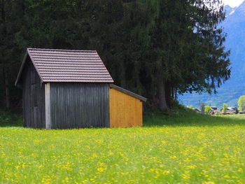 House on grassy field against trees and houses