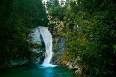 Waterfall in forest