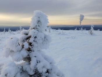 Snow covered field against sky
