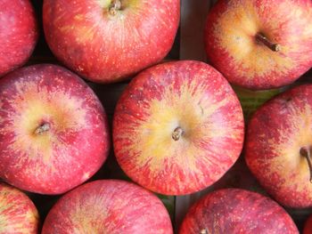 Full frame shot of apples