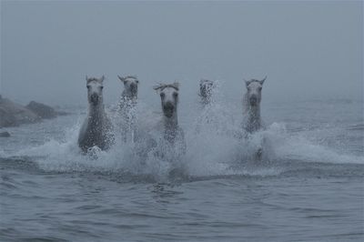 Water splashing in sea against clear sky
