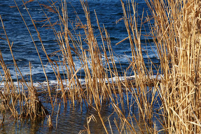 Full frame shot of water