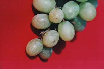 Close-up of fruits over red background